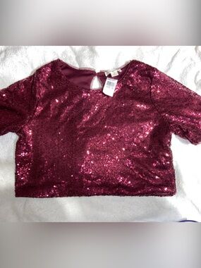Sequin Crop Top